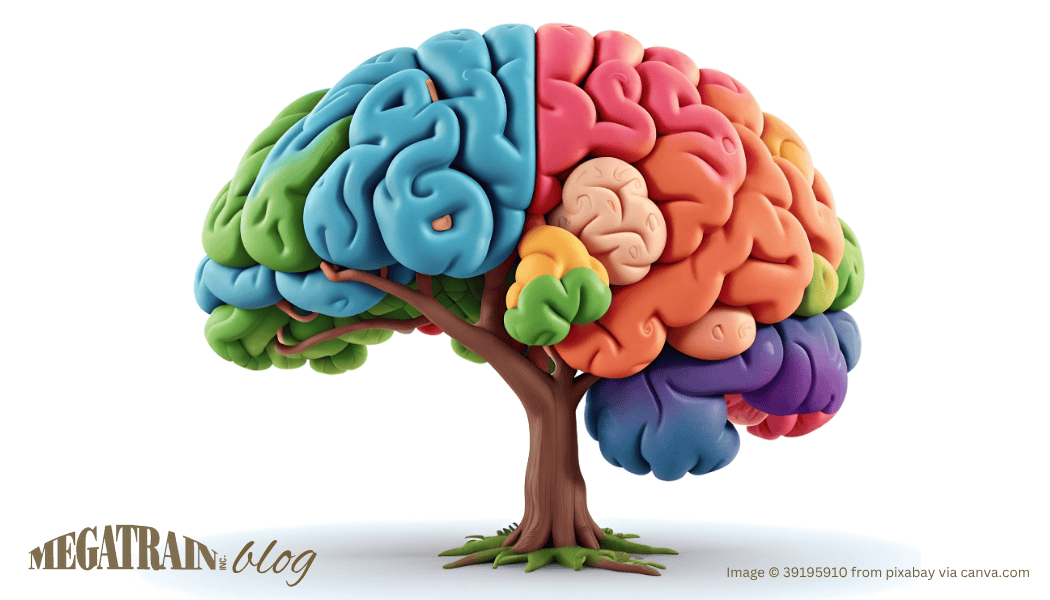 You are the CEO of You